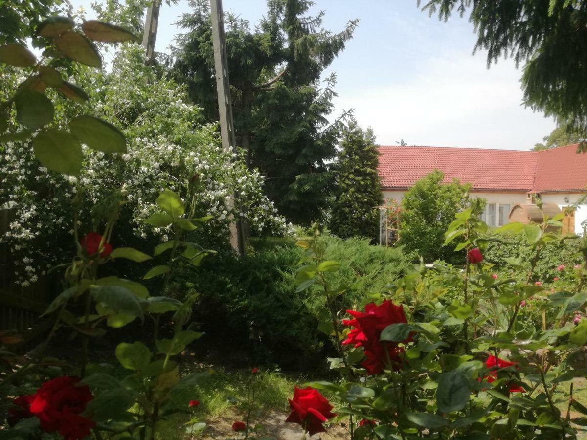 Chata Pod Roza Ledzin Esterno foto